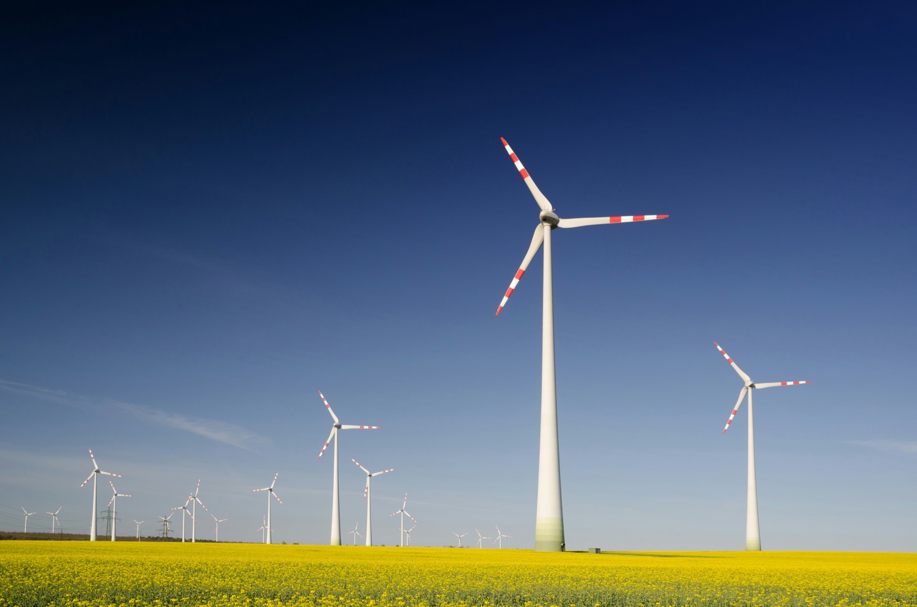 Renewable energy field infrastructure